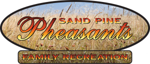 Sand Pine Pheasants